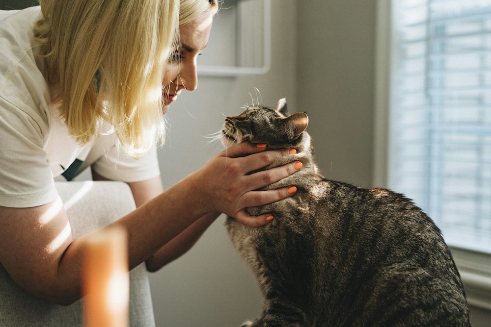 assicurazione cane gatto spese veterinarie rc - approfondimento e coperture