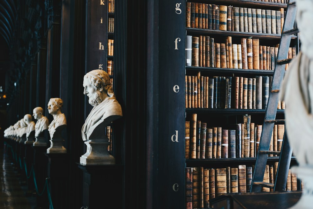 assicurazione tutela legale vita privata - approfondimento e coperture