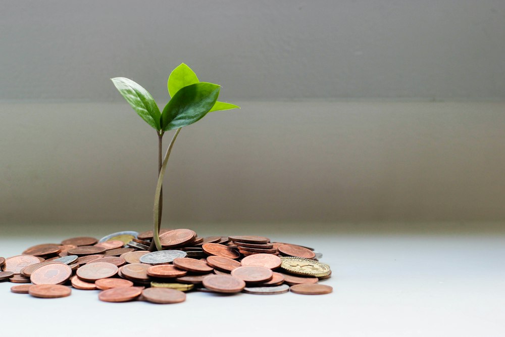 fondo pensione aperto deducibilita - approfondimento e coperture